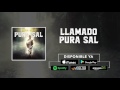 Llamado Pura Sal