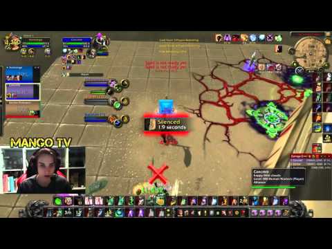 WoW Arena: WLS vs LSD