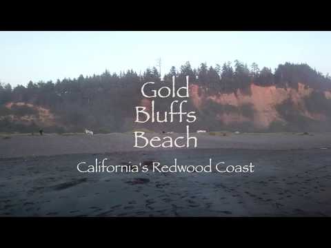 Drone flyover of Gold Bluffs Beach