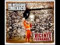 vicente fernandez - dolor