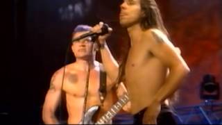 Woodstock 1994 Highlights - Higher Ground - Red Hot Chili Peppers - 8/12/1994