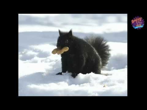 SymfonyLive Portland 2013 - Alexander Mols - Taking caching to the next level