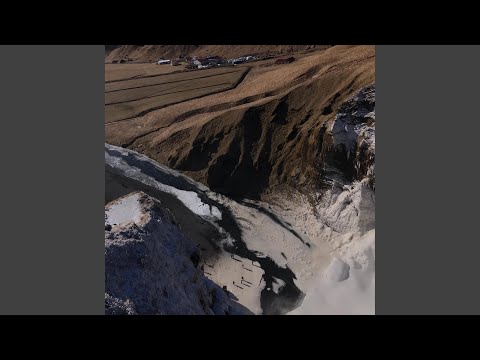 dym (feat. mlody bk)