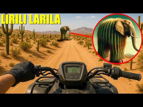 IF YOU SEE LIRILI LARILA IN THE DESERT DRIVE AWAY FAST! (ITALIAN BRAINROT)