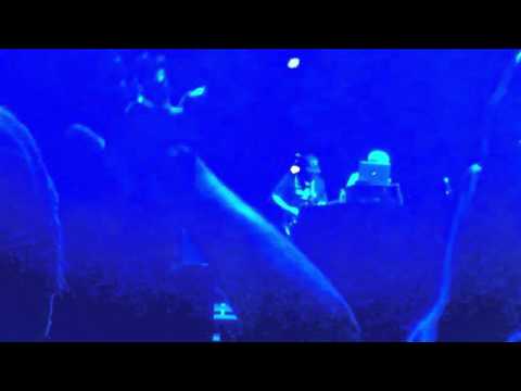 GRiZ with Muzzy Bear Euphoria 3016