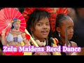 Zulu Maidens Reed Dance Zulu Maidens Reed Dance Zulu Traditional Dance