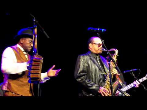 Mojo Blues Band & Elmore James Jr. & Ed Williams @ Chicago Blues Night