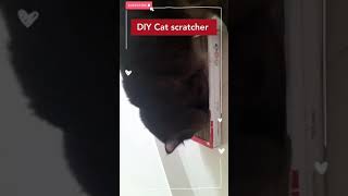 DIY cat scratcher | how to make a cat scratcher | cat scratcher home made | cat scratch board
