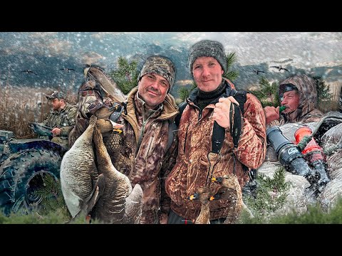 «Охота на гуся в Архангельской области», часть 2