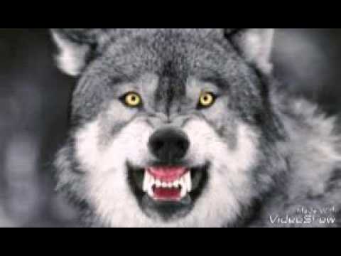 Eurythmics - Sweet Dreams NoOne Rework 2k16