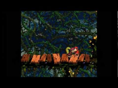 Best SMW Music 25 - Donkey Kong Country 2 - Stickerbush Symphony