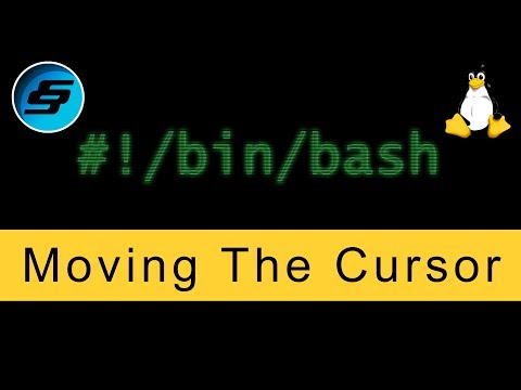 Moving The Cursor Bash Scripting