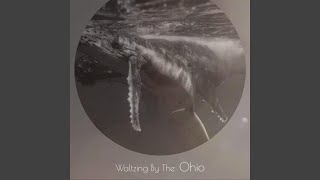 If You Want It, I&#39;ve Got It