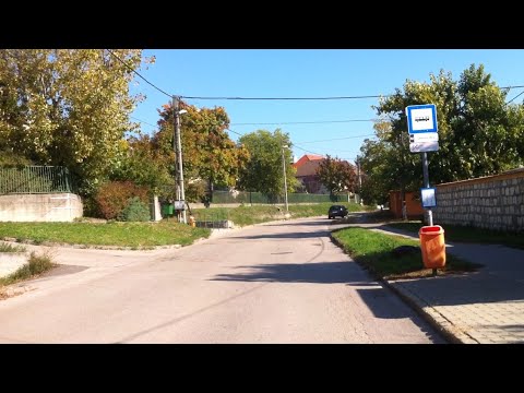 Budapest 141-es járat; Kelenföld vasútállomás M - Savoya Park