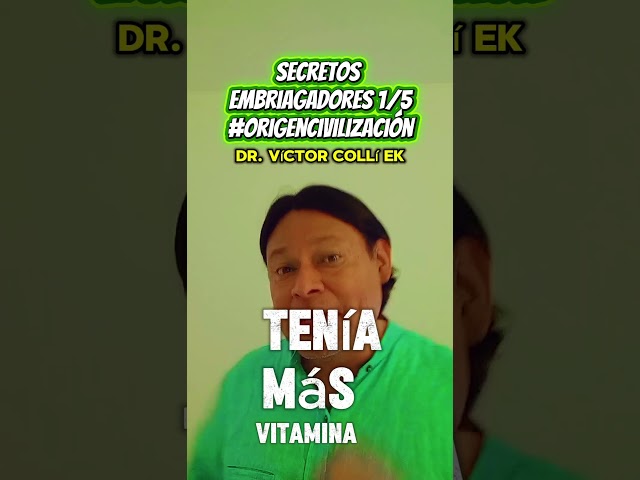 Vídeo relacionado con Coolie Junction - Botella de cerveza, diseño de cachemira