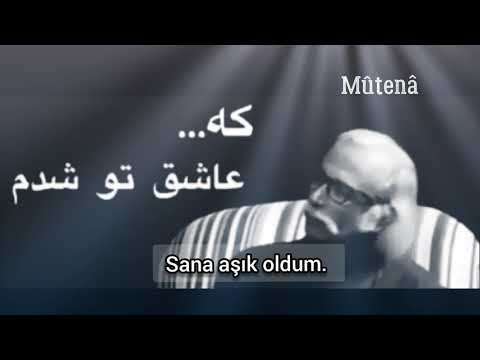 Mohammad Ebrahim Jafari - Ey Şarkı Seni Nasıl Seviyorum