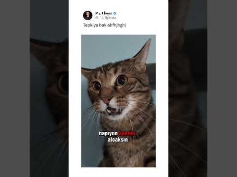 böyle videolar için kanalımıza abone olmayı unutmayın