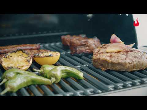 Газовый гриль Char-Broil Professional PRO S 4 - фото 1 - id-p1675258809