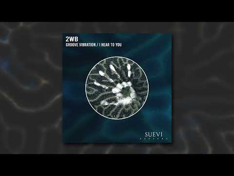 2WB - Groove Vibration (Original Mix)