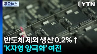 1분기 반도체 빼면 제조업 생산 0.2% 증가 그쳐...'K자형 양극화' 여전 / YTN