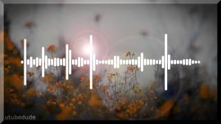 Bernard Fanning - The Strangest Thing