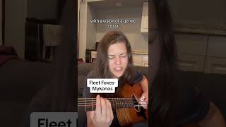 Fleet Foxes- Mykonos