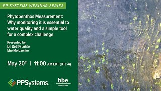 Phytobenthos Measurement: Why Monitoring It Is Essential to Water Quality