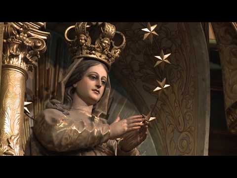 Mensaje del Card. Mario Poli sobre la Emergencia Sanitaria