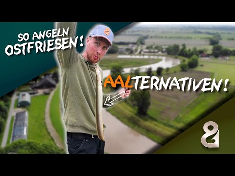 Alternative eel bait? This is how East Frisians fish!