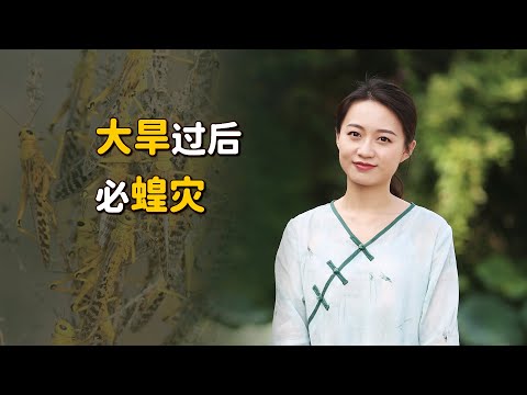 &ldquo;大旱過後必蝗災&rdquo;，歷史上有多次先例，僅僅是巧合嗎？【藝述史】