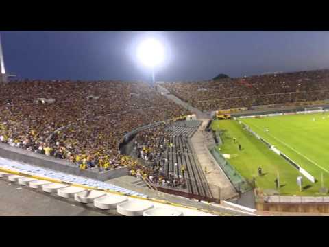 "Hinchada de Peñarol desde tribuna de Estudiantes(2)" Barra: Barra Amsterdam &bull; Club: Peñarol