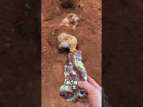 He Changed Real Quick 😂😳