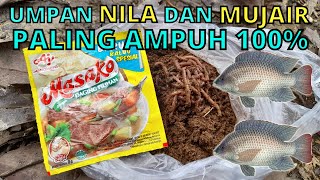 Download lagu Umpan Jitu ikan Nila Mujair Paling Ampuh 100% Anti Boncos Langsung Tes mp3