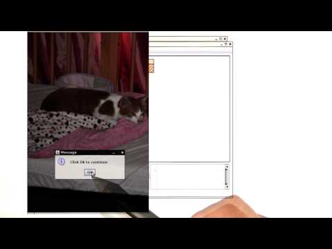 Introduction Intro to Java Programming