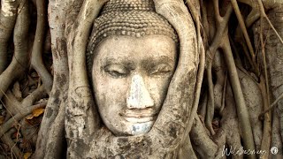 The Core Connection Meditation