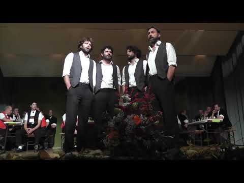 Jodlerquartett Rosenberg - "Hab einst in meinen jungen Jahren"