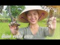 Bún Riêu Cua đồng Hương Vị Quê Nhà Khói Lam Chiều 37 An Incredible Crab Paste Vermicel