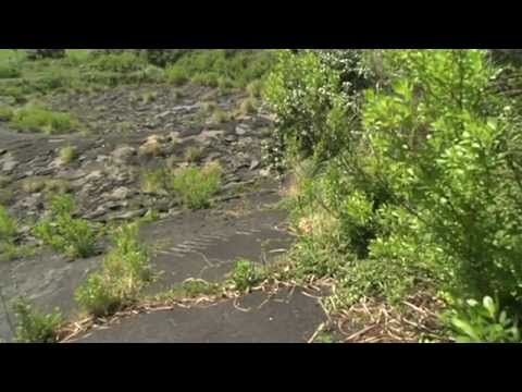 download lagu mp3 mp4 Webcam Zarautz Quiksilver, download lagu Webcam Zarautz Quiksilver gratis, unduh video klip Webcam Zarautz Quiksilver