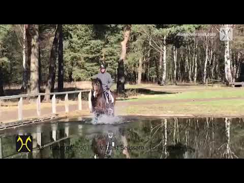 No. 33 Fabergé by Fürst Belissaro - Londontime - Clip 3