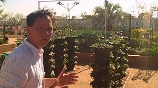 Examples of Container Gardening, Raised Bed Garden, Vertical Tower Garden at the Great Park