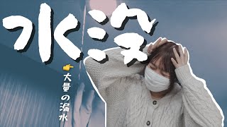 元アイドル、住む家を失いました。