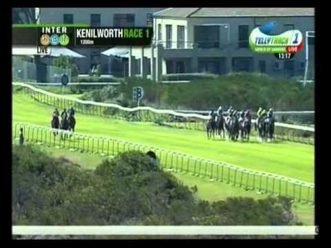 Pigeon Flyer - 1st win - Racing Association