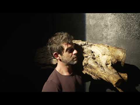 Ahora — Stefano Fabris