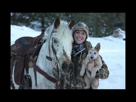 Don't Cry for the Horses Literature Project