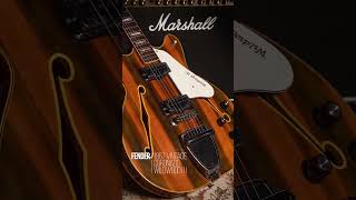 Video thumbnail for 1967 Fender Coronado II Wildwood III by The Captured Pixel