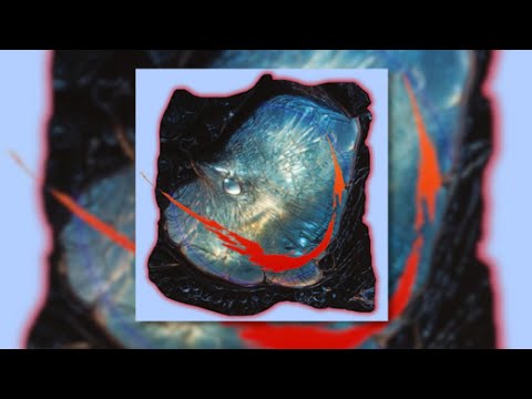 Skrillex, Hamdi, TAICHU & OFFAIAH - Push