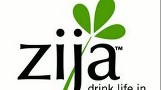 Zija's Moringa Oleifera - Everything You Need to Know