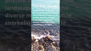 Vietnam's Top Places: Unveiling the Gems of the World #14 - Con Dao Island