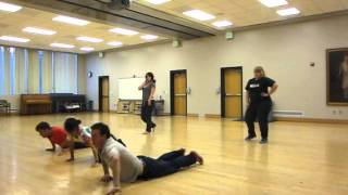 Insane Asylum Escapies