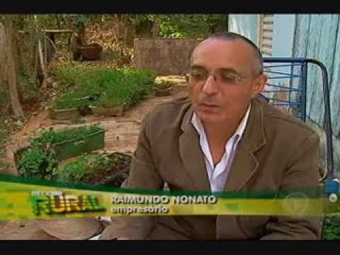 REPORTAGEM TV RECORD CAMPO GRANDE - MS.
